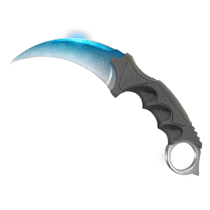 Karambit | Frostbite